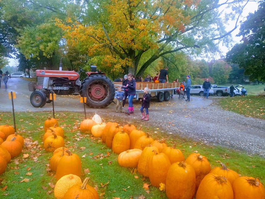 We give rides to the pumpkin patch in October